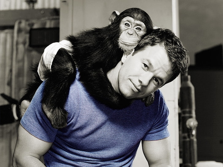 Mark Wahlberg, mark wahlberg, actor, monkey, photo shoot, HD wallpaper