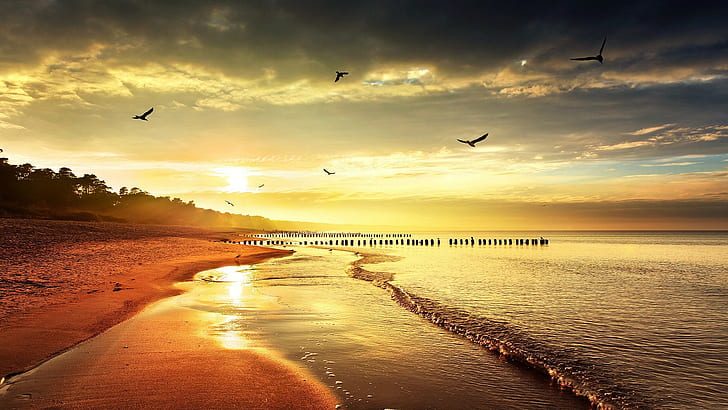 matahari terbenam, laut, camar laut, pantai, horison, ombak, Wallpaper HD