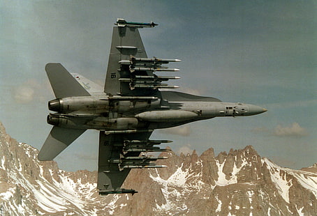 askeri, askeri uçak, McDonnell Douglas FA-18 Hornet, jetler, uçak, HD masaüstü duvar kağıdı HD wallpaper