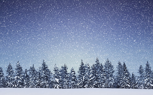 Flocken, Wald, Landschaften, Natur, Schnee, schneit, Bäume, Winter, HD-Hintergrundbild HD wallpaper