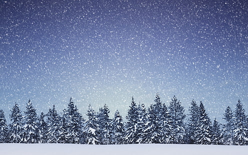 arbres, flocons, neige, nature, neige, forêt, hiver, paysages, Fond d'écran HD HD wallpaper