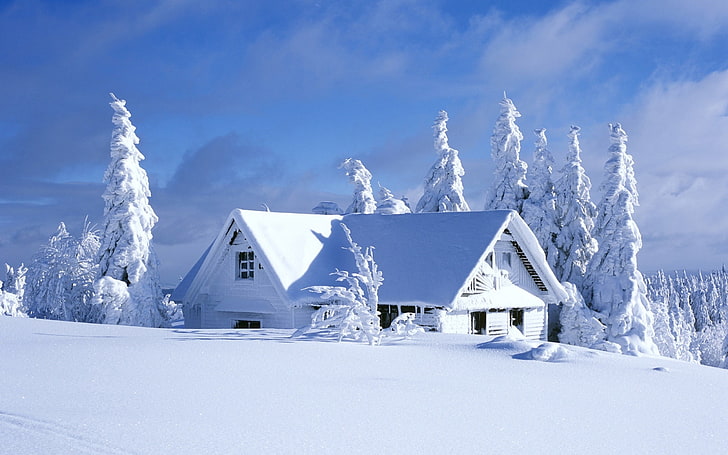snow-covered cabin photo, cabin, hut, winter, snow, pine trees, landscape, nordic landscapes, HD wallpaper