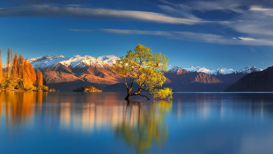 горы, озеро, дерево, Новая Зеландия, озеро Ванака, HD обои HD wallpaper