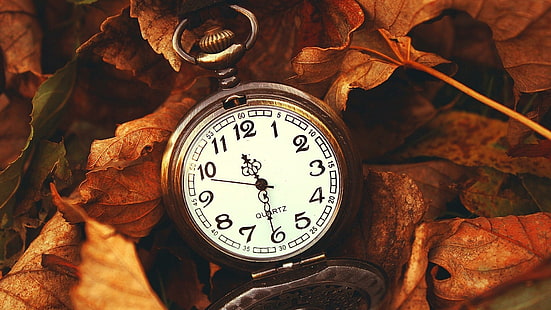 arloji saku, arloji, daun, waktu, musim gugur, kehidupan, Wallpaper HD HD wallpaper