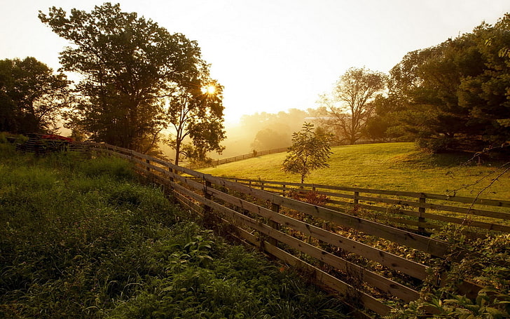 recinzione in legno marrone, natura, paesaggio, tramonto, riflesso lente, alberi, recinto, piante, Sfondo HD