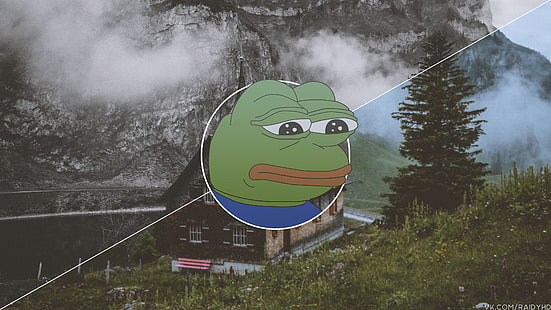 Pepe (meme), imagen en imagen, rana, árboles, Fondo de pantalla HD HD wallpaper