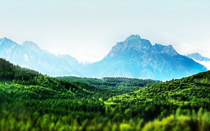 Rasenfläche, Landschaft, Natur, Neigungsverschiebung, Berge, Wald, klarer Himmel, HD-Hintergrundbild
