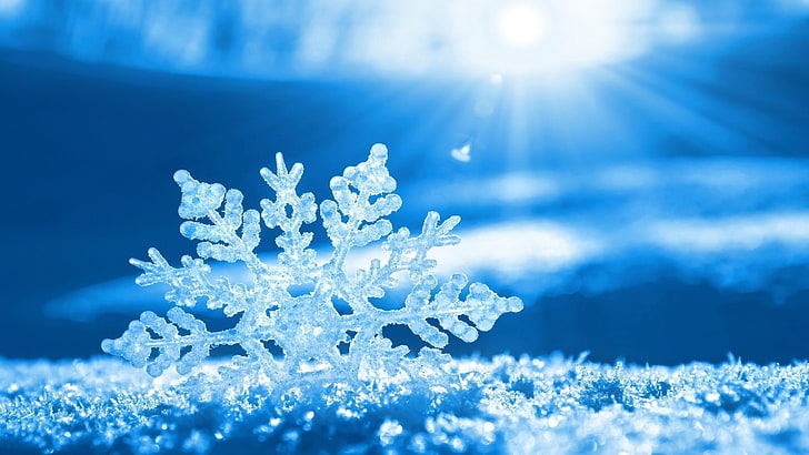 macro shot of snowflake, blue, snow, winter, snow flakes, HD wallpaper
