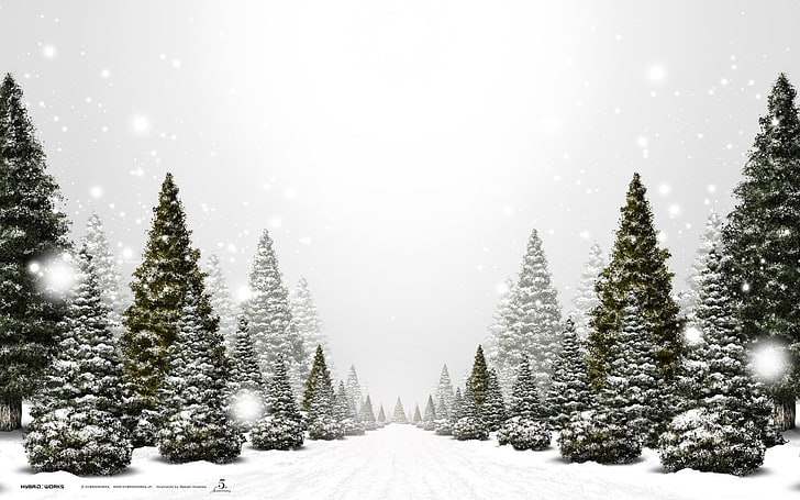 пейзажи природа зима снег деревья лес 1920x1200 природа зима HD арт, природа, пейзажи, HD обои