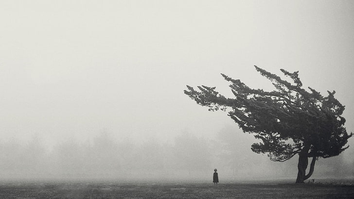 silueta infantil cerca del árbol, niños, niebla, monocromo, Fondo de pantalla HD