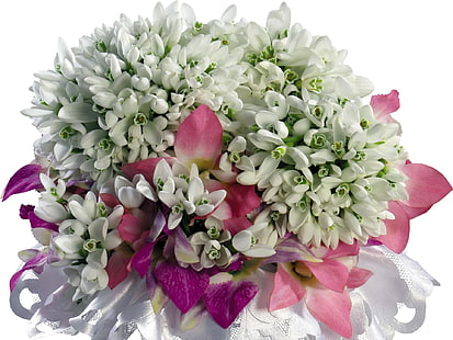 arranjo de flores de jasmim brancas, snowdrops, flores, branco, flor, prímula, primavera, HD papel de parede HD wallpaper