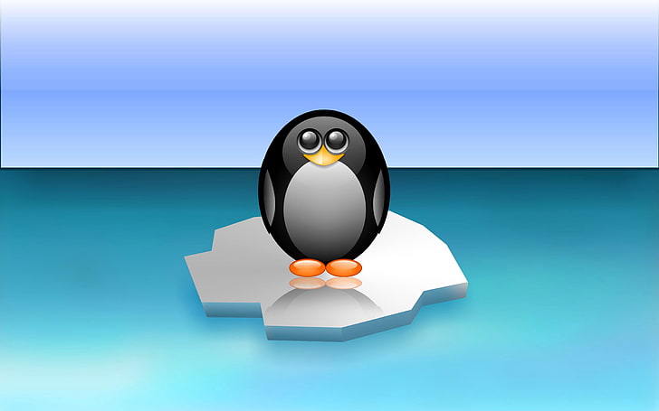 иллюстрация черного пингвина, пингвин, льдина, минимализм, Антарктика, море, HD обои