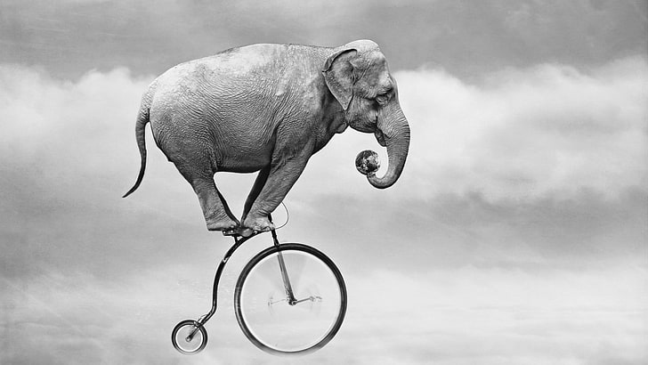 elephant riding on penny farthing bike illustration, nature, animals, elephant, bicycle, humor, monochrome, Earth, clouds, motion blur, HD wallpaper