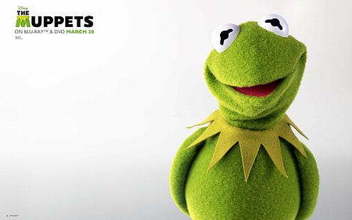 Film, Muppets, Kurbağa Kermit, Muppets (TV Şovu), HD masaüstü duvar kağıdı HD wallpaper