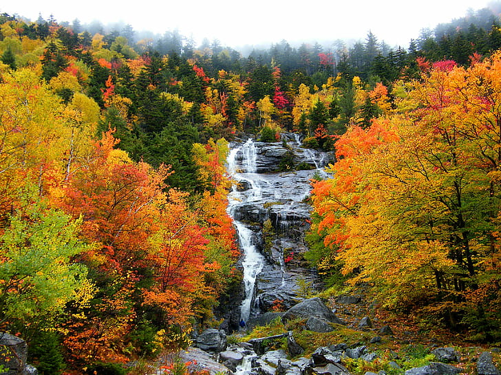 rzeka otoczona klonem w ciągu dnia, biała góra, wodospad, rzeka, klon, dzień, jesień, pora roku, jesień, natura, las, liść, drzewo, żółty, krajobraz, na zewnątrz, scenics, kolor pomarańczowy, piękno w naturze, Woodland, czerwony, Tapety HD