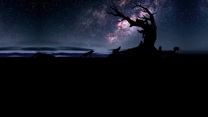 langit, siluet, serigala, malam, batang pohon, Wallpaper HD
