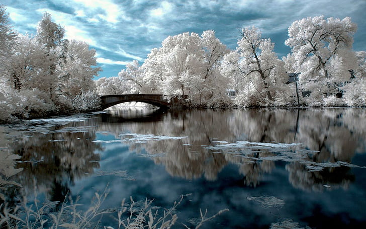 Białe Drzewa Wokół Mostu Na Rzece, białe drzewa; jezioro; i zdjęcie mostu, drzewa, rzeka, biel, most, chmury, przyroda i krajobrazy, Tapety HD