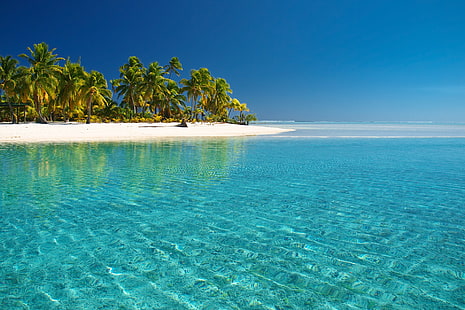 водно тяло, море, плаж, палми, Тихия океан, острови Кук, прозрачност на водата, остров Аитутаки, HD тапет HD wallpaper