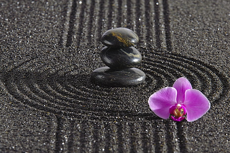 energia, pietra, Giappone, giardino, Zen, filosofia, monaco di sabbia, Sfondo HD HD wallpaper