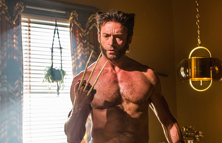 Logan Wolverine Hugh Jackman X Men Adamantium Claws S Hd Wallpaper Wallpaperbetter - Logan Hd Wallpapers 1080p