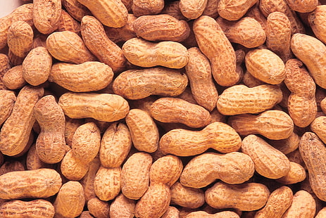 peanut lot, peanuts, tree nuts, heap, background, HD wallpaper HD wallpaper