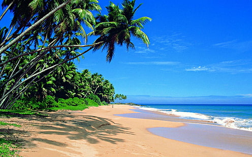 Шри-Ланка, пляж, морская фотография, море, пальмы, пляж, океан, Шри-Ланка, HD обои HD wallpaper