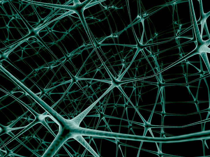 녹색과 검은 색 미세한 패턴 작품, 그물, 뉴런, 연결, HD 배경 화면