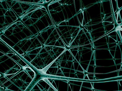 grüne und schwarze mikroskopische Mustergrafik, Netz, Neuron, Verbindung, HD-Hintergrundbild HD wallpaper