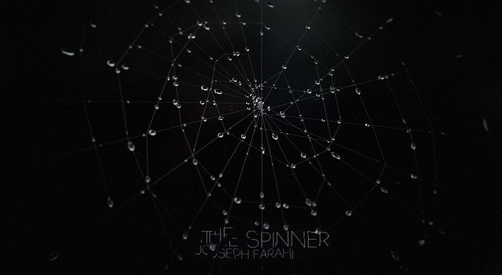 The Spinner, The Spinner poster, Aero, Black, design, 3d, awesome, dark, animation, nice, cool, movie, spider, nature, web, spiderweb, raindrops, poster, film, reflection, HD wallpaper