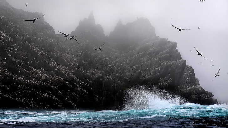 Vogelschwarm, Natur, Tiere, Küste, Meer, Vögel, Cyan, Spritzer, Nebel, Wellen, HD-Hintergrundbild