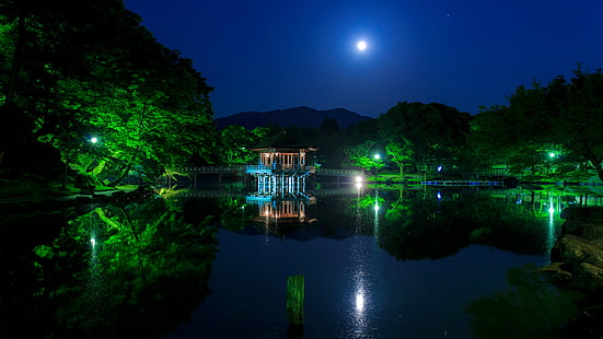 Япония, Азия, ночь, лунный свет, парк Нара, парк, тьма, отражение, пагода, озеро, вода, луна, пруд, HD обои HD wallpaper