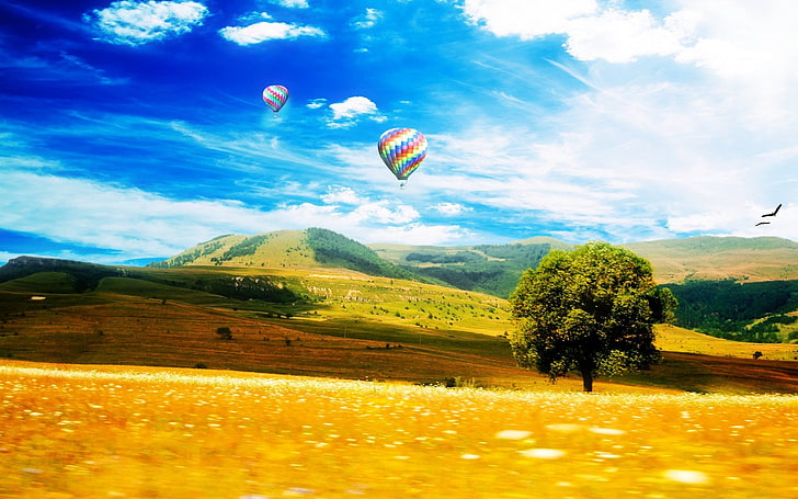 zielone drzewo liściaste, krajobraz, niebo, balony na ogrzane powietrze, Tapety HD
