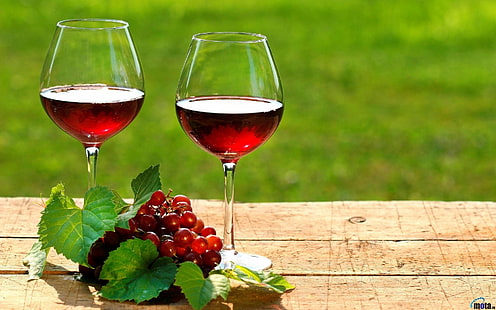 вино, напиток, алкоголь, виноград, еда, листья, HD обои HD wallpaper