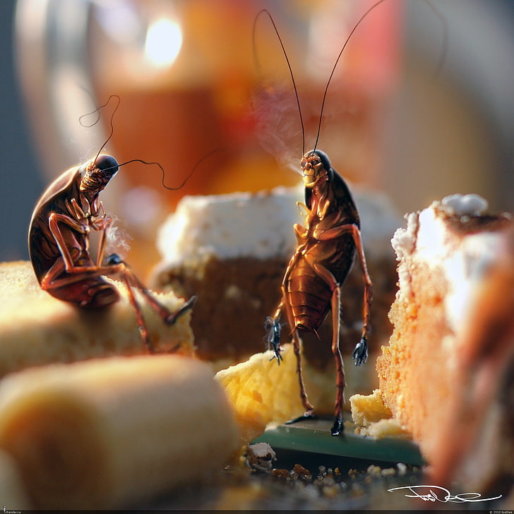 two cockroaches smoking near slices of cakes wallpaper, bread, kitchen, Easter, Cockroaches, HD wallpaper