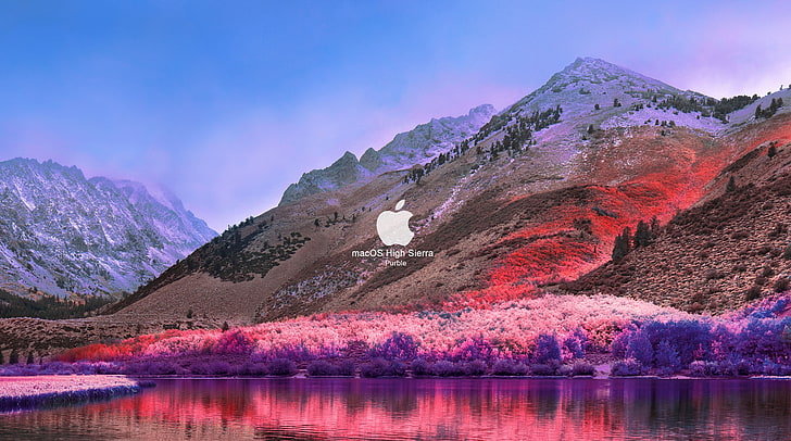 FoMef - macOS High Sierra Purble, logo Apple, Komputer, Mac, Wallpaper HD