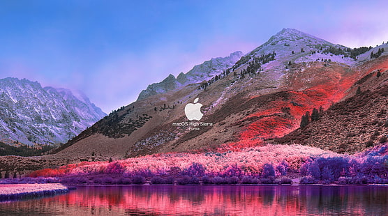 FoMef - macOS High Sierra Purble, Apple logosu, Bilgisayarlar, Mac, HD masaüstü duvar kağıdı HD wallpaper