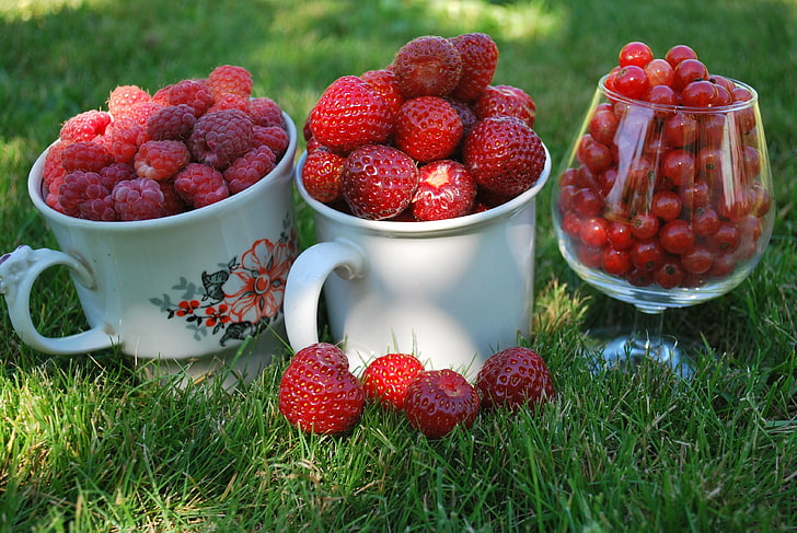 red strawberry fruit lot, berries, raspberries, currants, red, strawberry, summer, mugs, cups, glass, grass, close-up, HD wallpaper