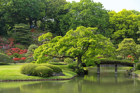 водно тяло, дървета, Япония, Токио, мостът, езерото, японската градина, градината Рикугиен, градината Рикугиен, HD тапет HD wallpaper