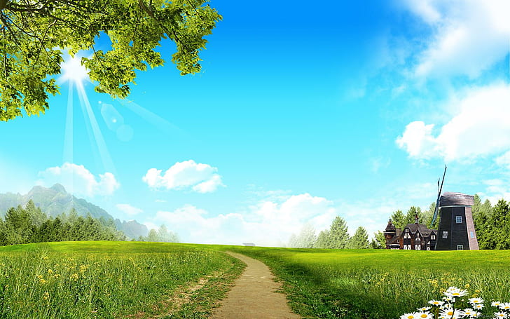 Слънчева светлина върху страната, поле със зелена трева, слънце, страна, пейзаж, HD тапет