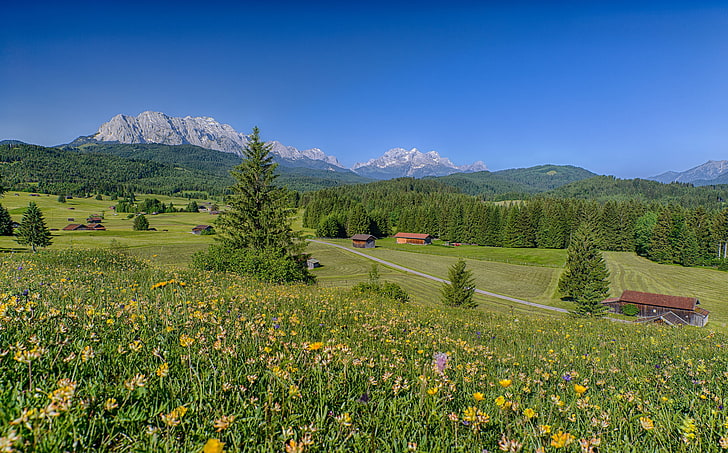 prado verde, bosque, paisaje, flores, montañas, hogar, Alemania, Bayern, Alpes, prados, Baviera, Fondo de pantalla HD