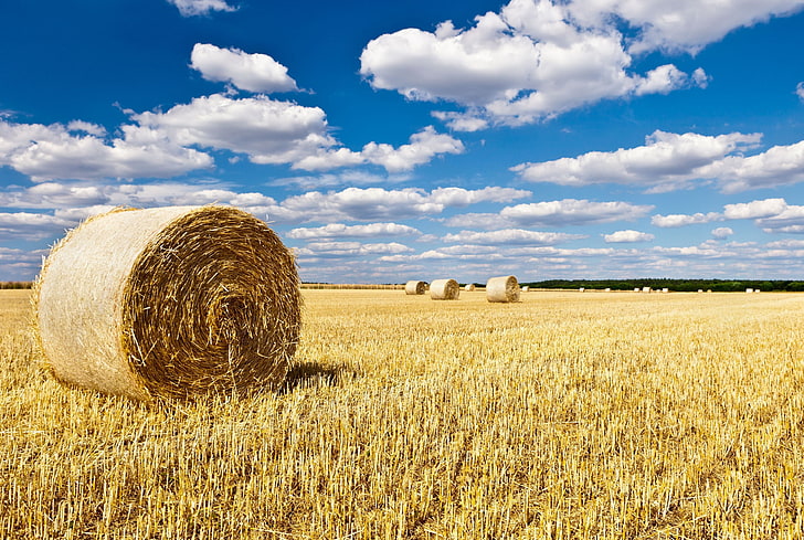 brown haty, field, the sky, landscape, nature, background, widescreen, Wallpaper, hay, full screen, HD wallpapers, haystack, fullscreen, HD wallpaper