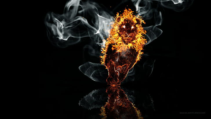 lion fire on the water, HD wallpaper