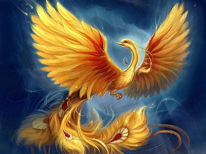 Phoenix HD, fantasy, phoenix, HD wallpaper HD wallpaper