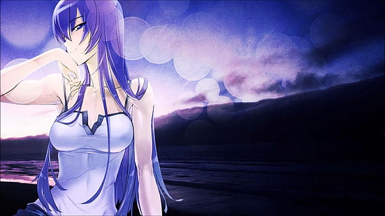 аниме, аниме момичета, гимназия на мъртвите, Busujima Saeko, лилава коса, усмихнати, сини очи, дълга коса, HD тапет HD wallpaper