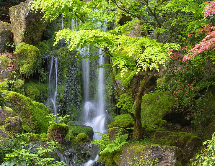 waterfall near green leafed tree, trees, stones, waterfall, Oregon, Portland, Japanese Gardens, HD wallpaper