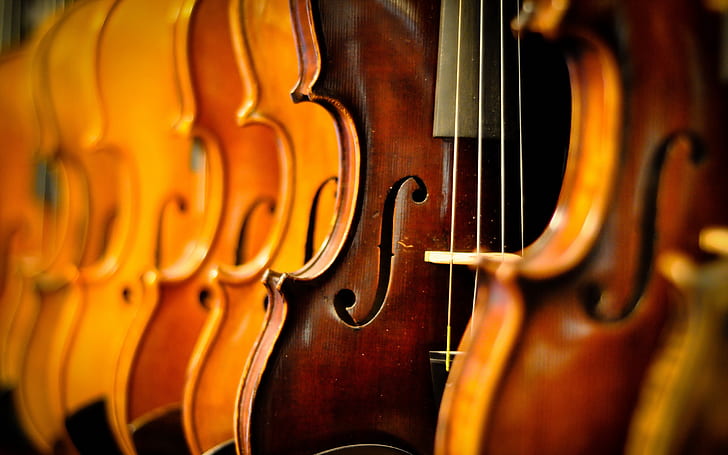 macro, music, Violins, HD wallpaper