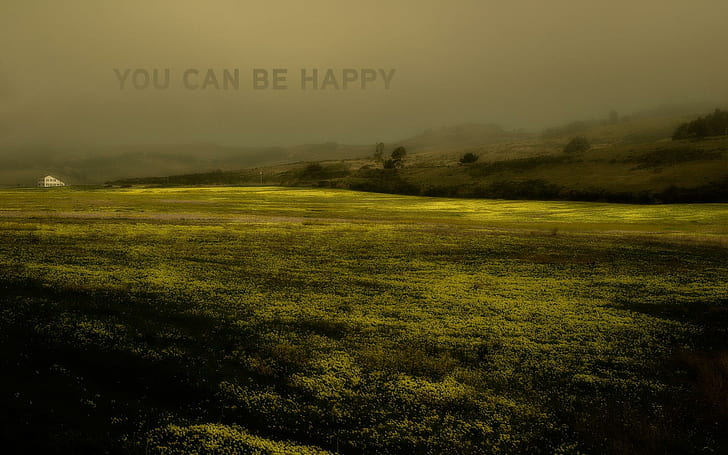You Can Be Happy, you can be happy photo of grass field, landscape, grass, field, sunset, 3d and abstract, HD wallpaper