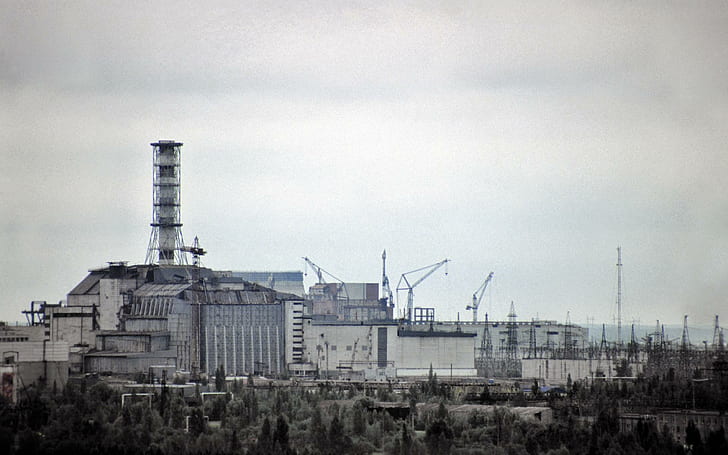 Chernobyl, edifício de concreto cinza e branco, chernobyl, construção, acidente, caiu, animais, HD papel de parede