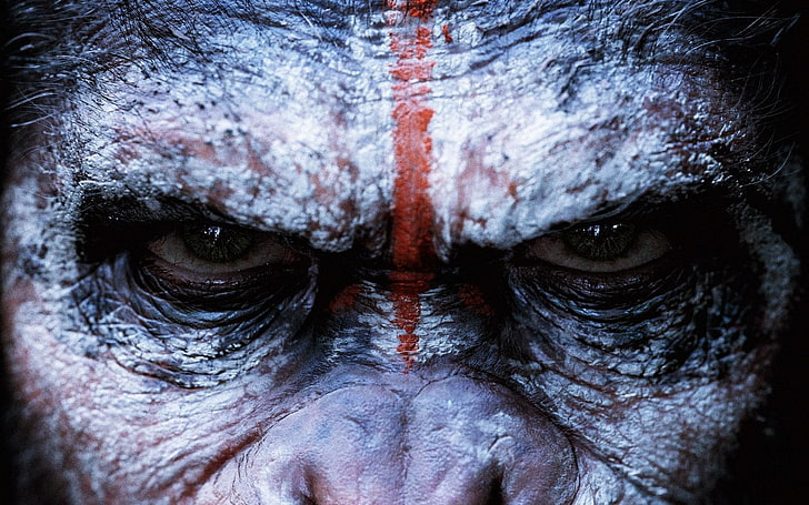 małpia twarz, Ewolucja planety małp, Planeta małp, małpy, filmy, Tapety HD