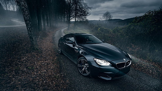 svart BMW coupe, bil, natur, träd, väg, BMW, BMW M6, fordon, HD tapet HD wallpaper